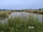 Best deal plot for sale at Jehanabad to Ghosi road