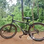 Cannaley(bicycle. M TB)