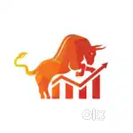 Stock market advisor and researcher