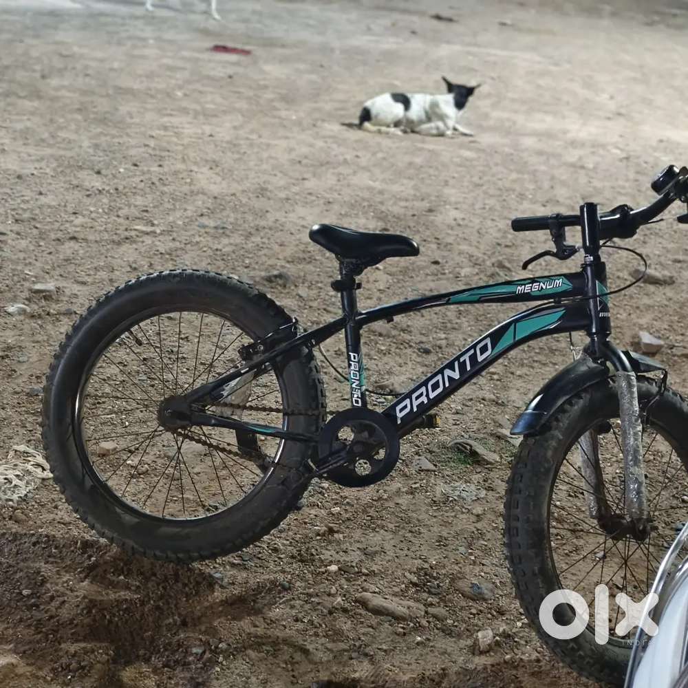 Brand new bicycle