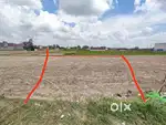 4 biswa plot for sale at kiccha