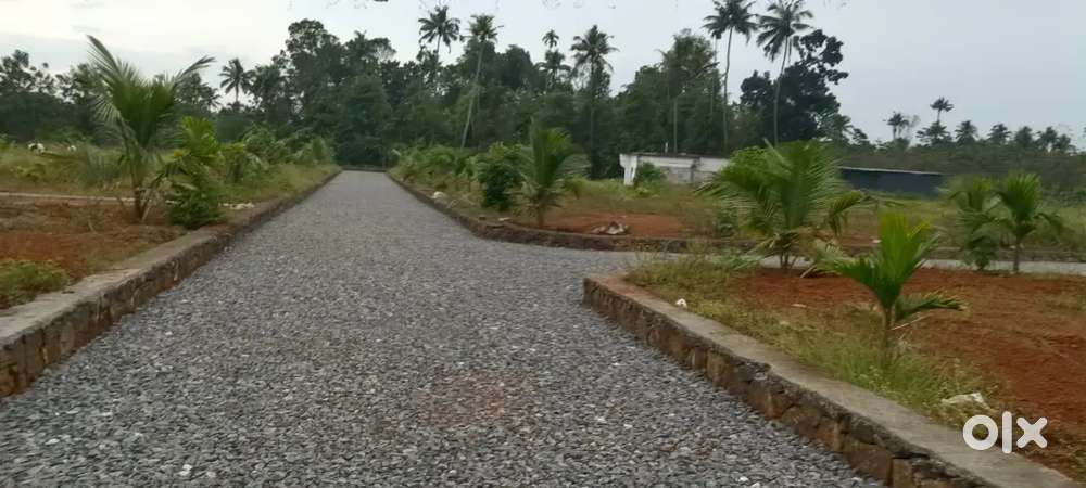 ANGAMALY NEAR APPOLO HOSPITAL, NEAR NH, 4,6,8,10 CENT PLOTS FOR SALE