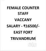 Female counter staff Vaccany - Footwear Shop