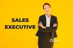 Sales Executive