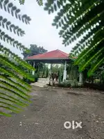 Road touch farmhouse
