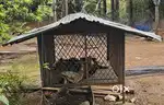 Dog cage urgent sale
