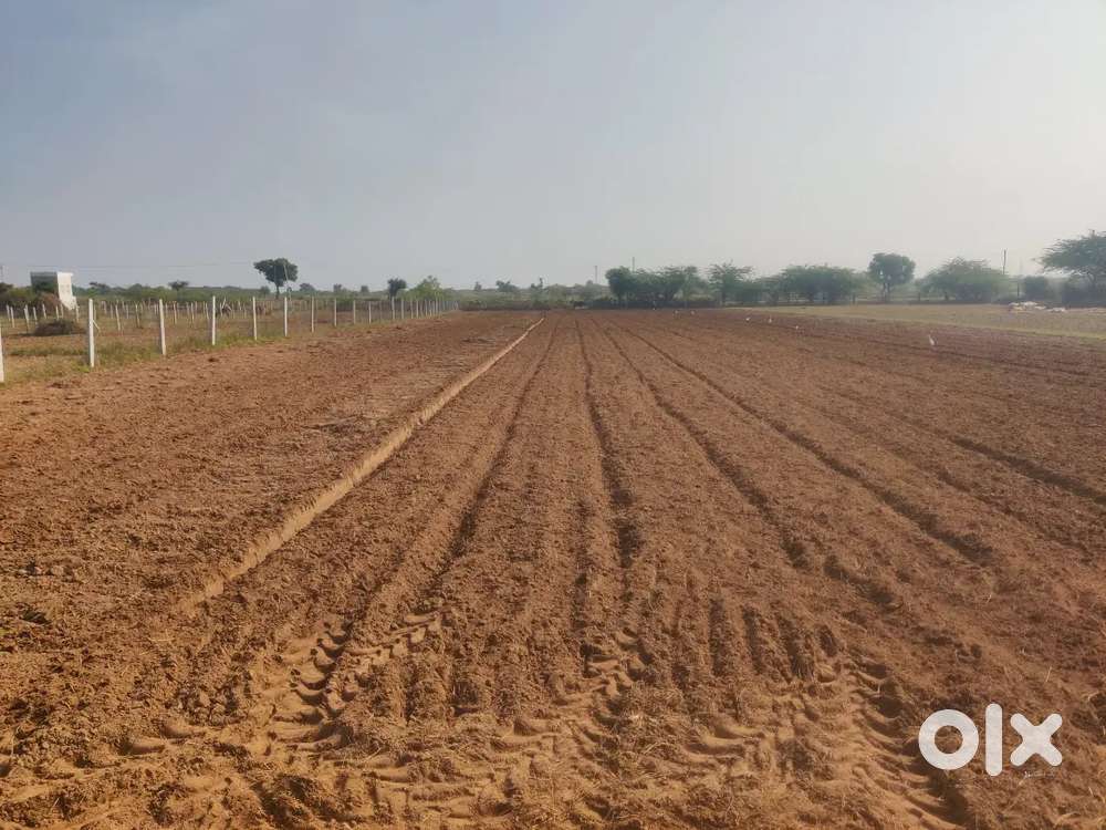 Dist Beawar Bus stop se 7 km 2.74 bigha Agriculture Land