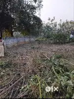 Miyadi Land for sale in sonapur