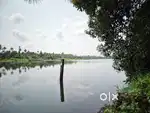 12 Cent Waterfront Purayidam Land Near Varapuzha