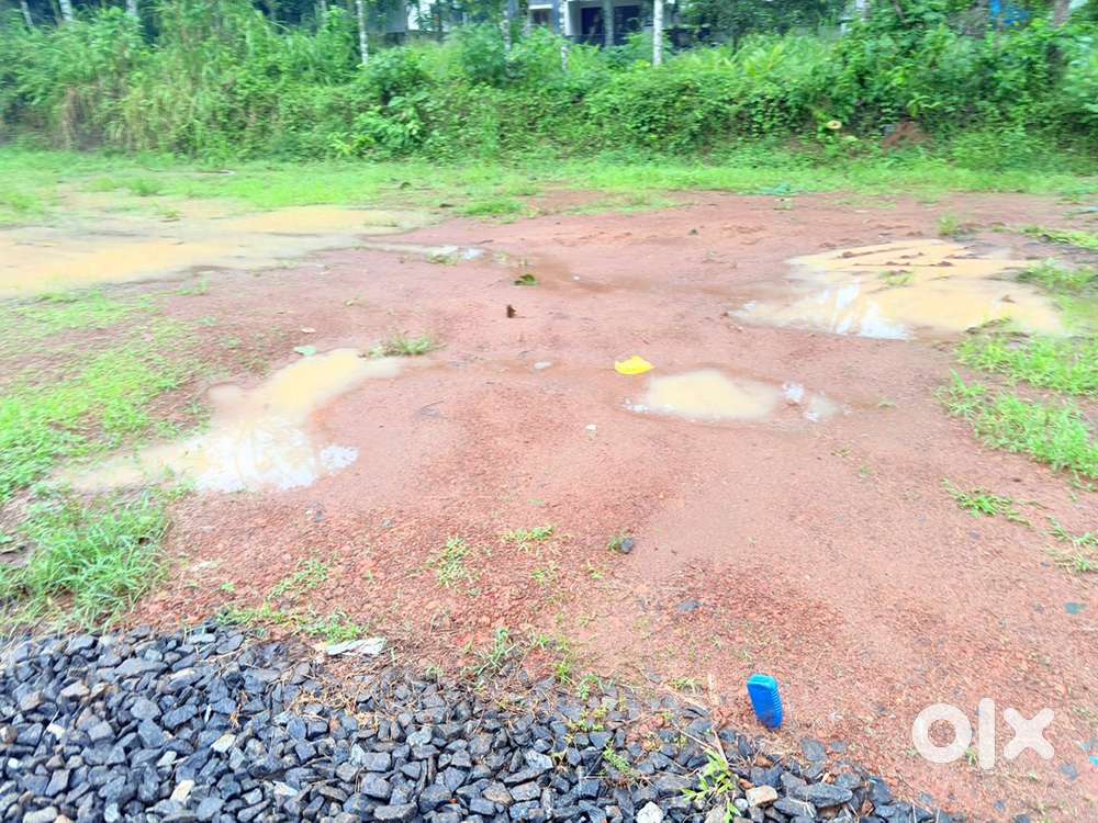 7 CENTS AT KANINAD NEAR INFOPARK