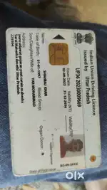 Jis bhai ko driver ki jarurat ho wo