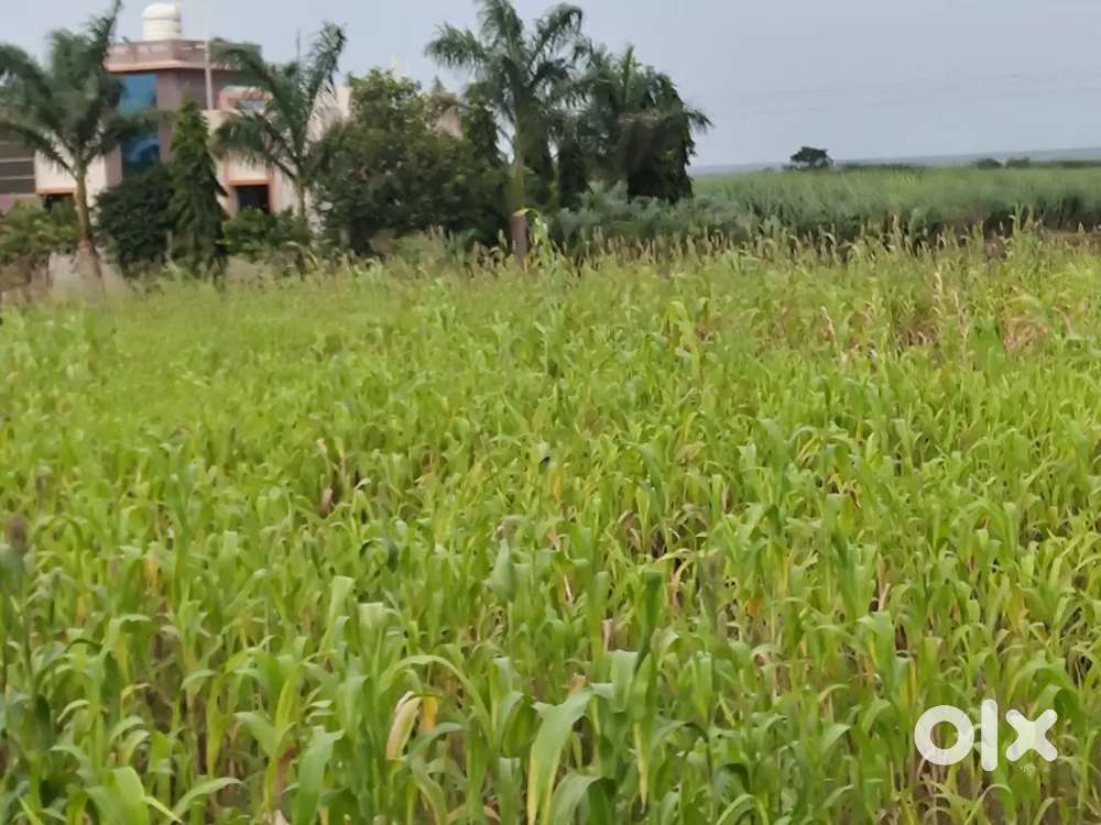 3Acre 1 Guntha Agriculture land for sale with Water Well