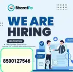 Bharatpe company products sealing work