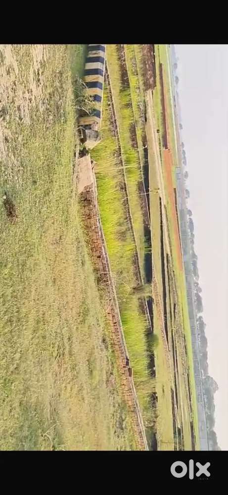 गोरखपुर चिड़िया घर के लोकेशन पर साइड