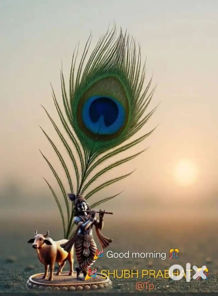 Ganga nagar A Block Near Shani dev mandir