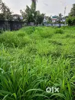 6.700 cents of Residential Property near police station, Maradu