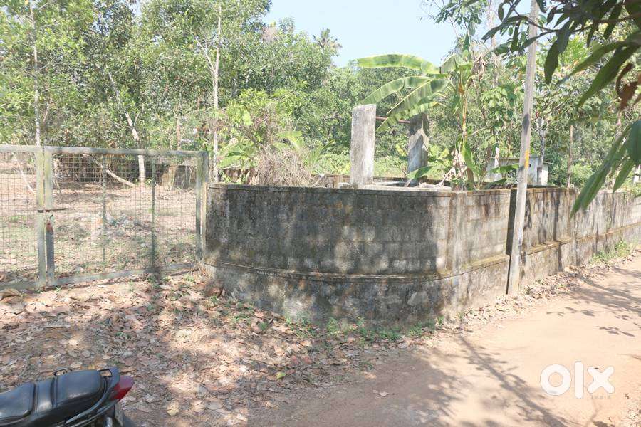 House plot 25 cents at Caritas 2.75 lakh/cent