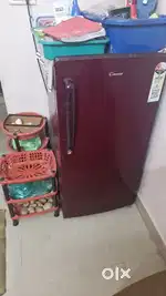 Fridge Candy