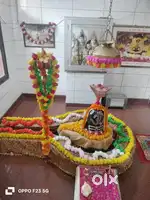 Need southindian and northindian cook