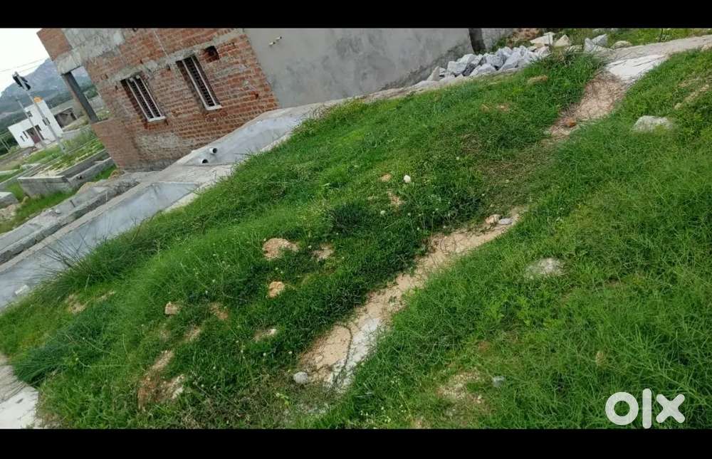 Government Colony basement for sale in pothabholu jagan Colony