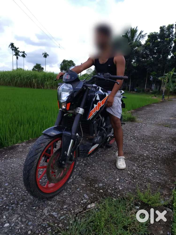 Duke 200 old is gold price