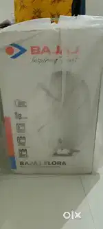 Electric geyser