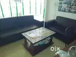 math, science, English expert