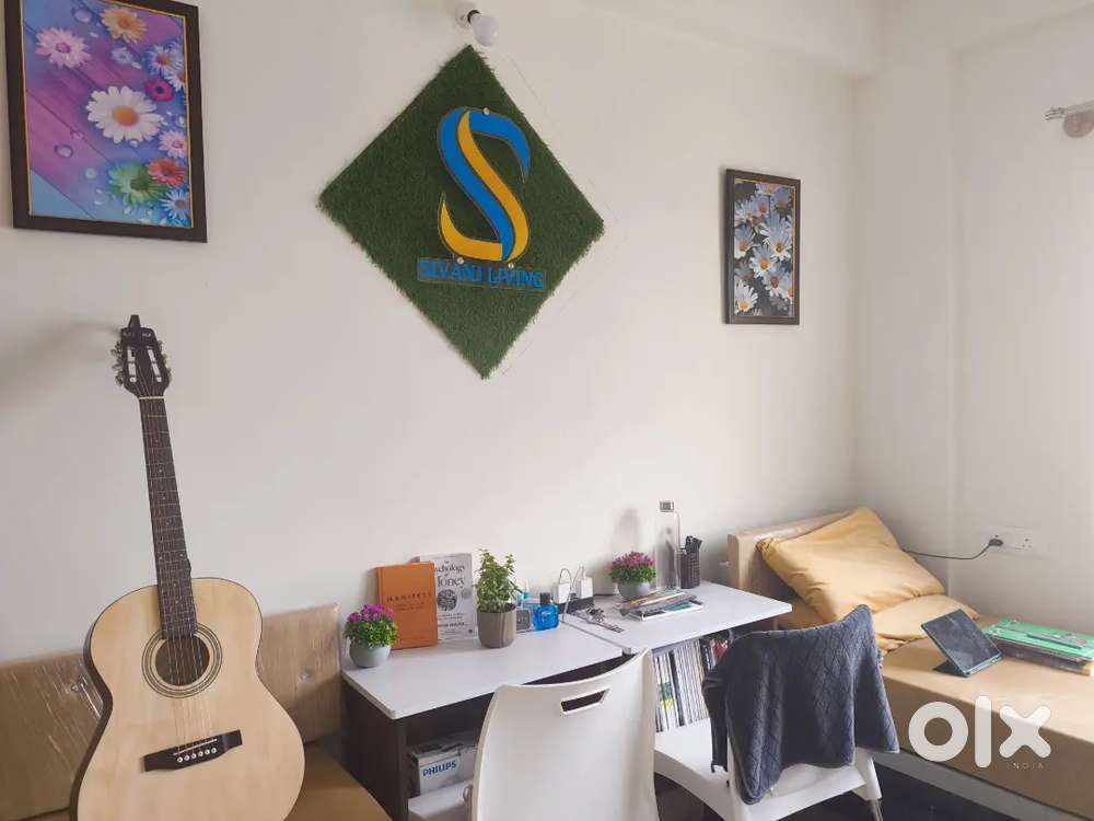 . 4-Month-Old [Kadence] Guitar – Excellent Condition, Barely Used