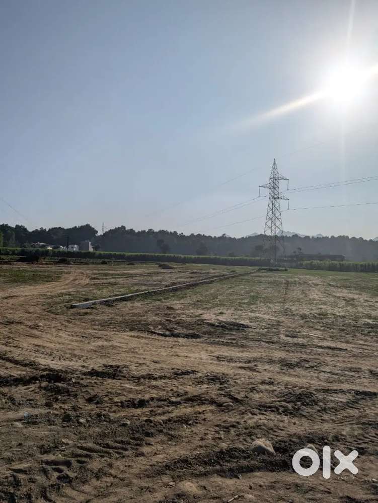 Plot for sale in Dharmawala chowk