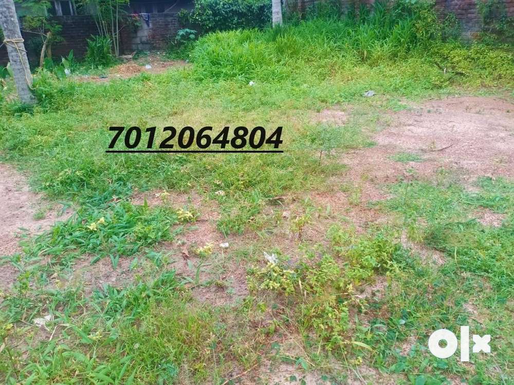 (ID-S199128) Residential 5.25 Cent Land For Sale At Kochar Road