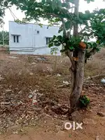 PANDIYAN NAGAR   jeyalalitha nagar land for sale