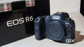 Canon R6 Mirrorless Camera