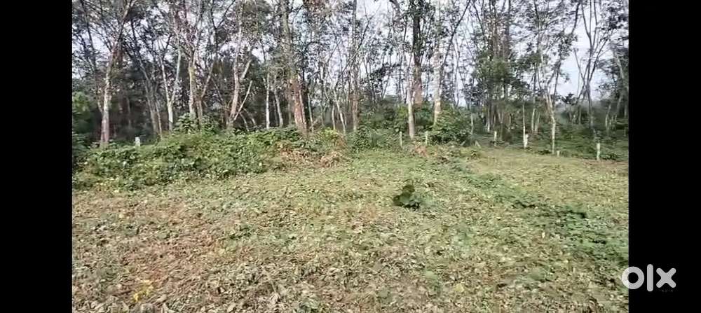 500 mtrs from Lifeline hsptl KP road