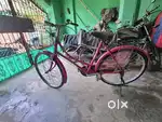 3 months old cycle, in brand new condition