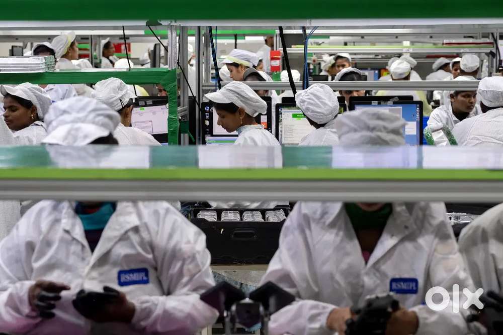ONLY FOR FEMALE :  WAREHOUSE COMPANIES