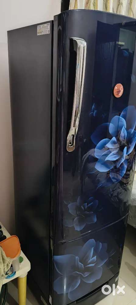 New fridge