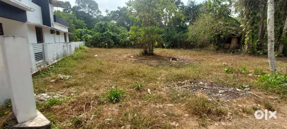 Kattanam anchamkutty plot for sale.