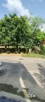 100 Gaj Park Facing 3 Bhk Duplex Villa JDA capital gareria Sirsi Road