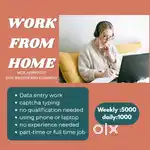 DAILY EARNINGS
