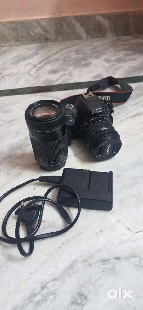 Nikon cemara