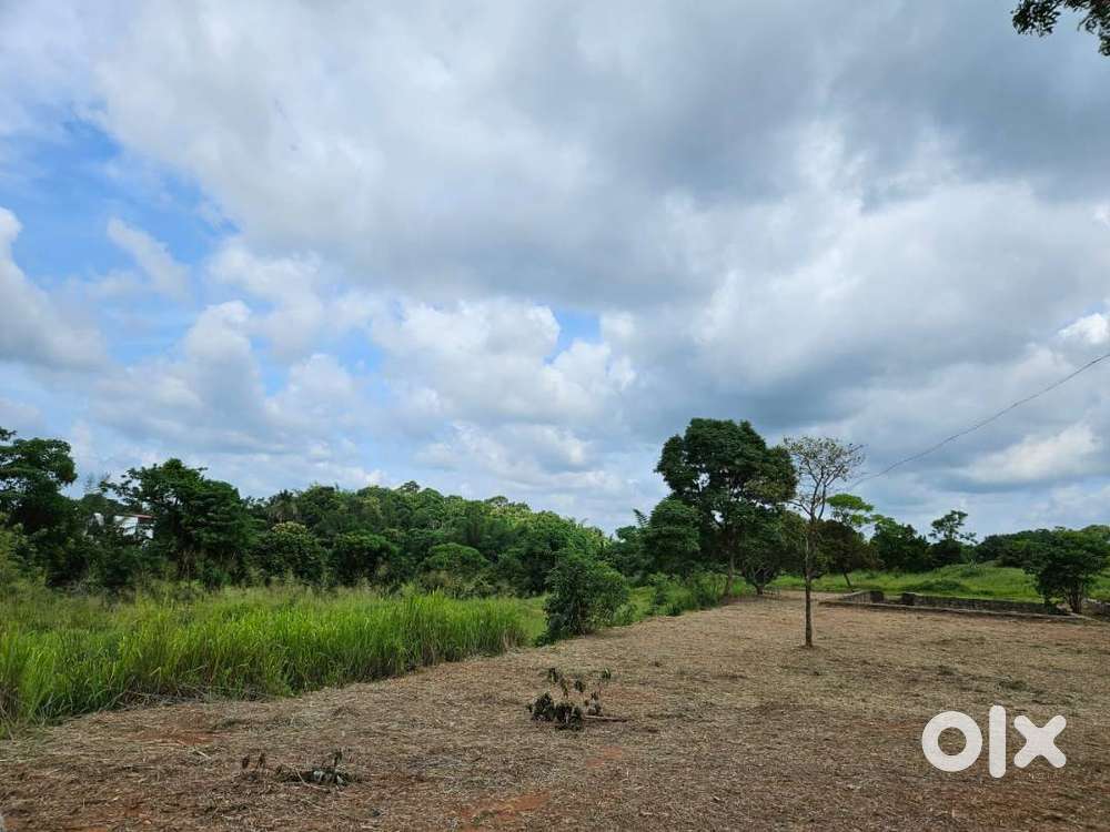 9 Cent House plot for Sale in Elappully, Palakkad