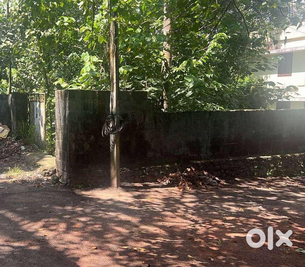 10 Cents Residential Plot in Koliyoor for sale
