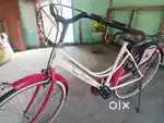 Lady Cycle- 5years old