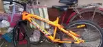 Model fx 100  or ex change bengla cycle