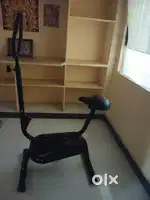 Stationary exercise cycle