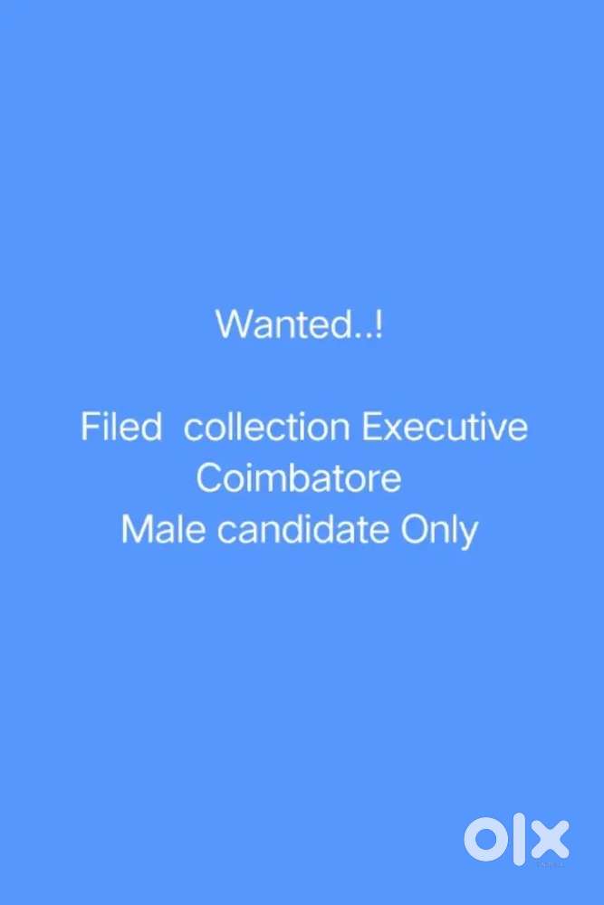 Collection Executive