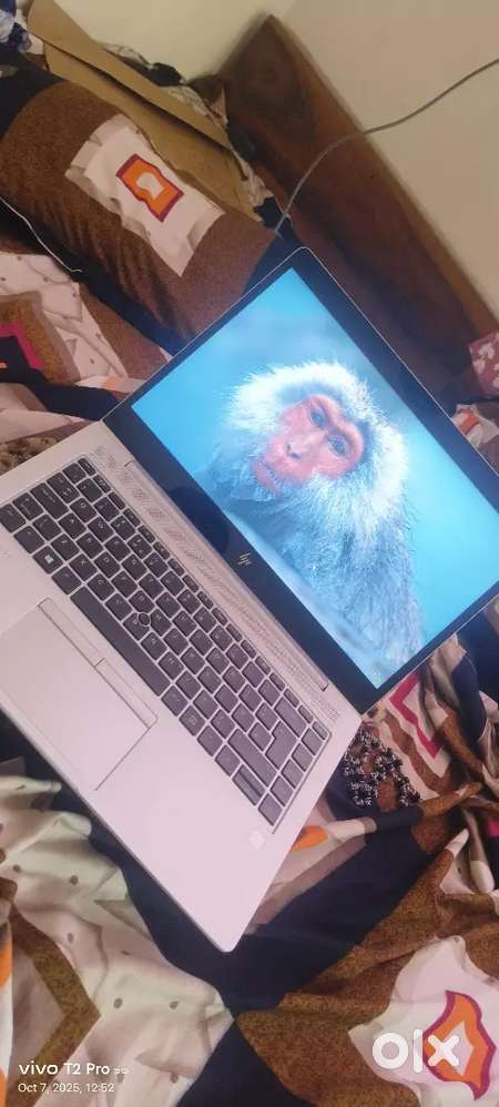 HP elite business