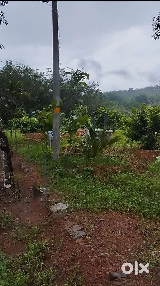 Dry land suitable for farming