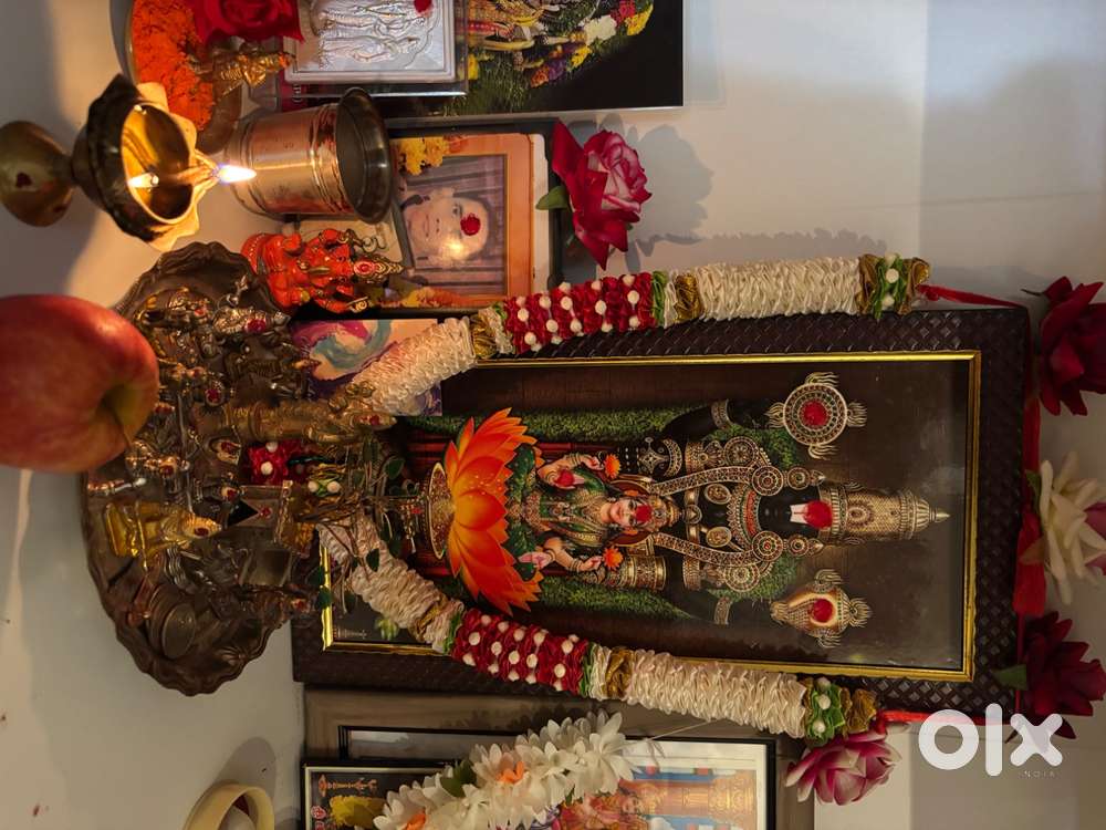 Individual house for Rent