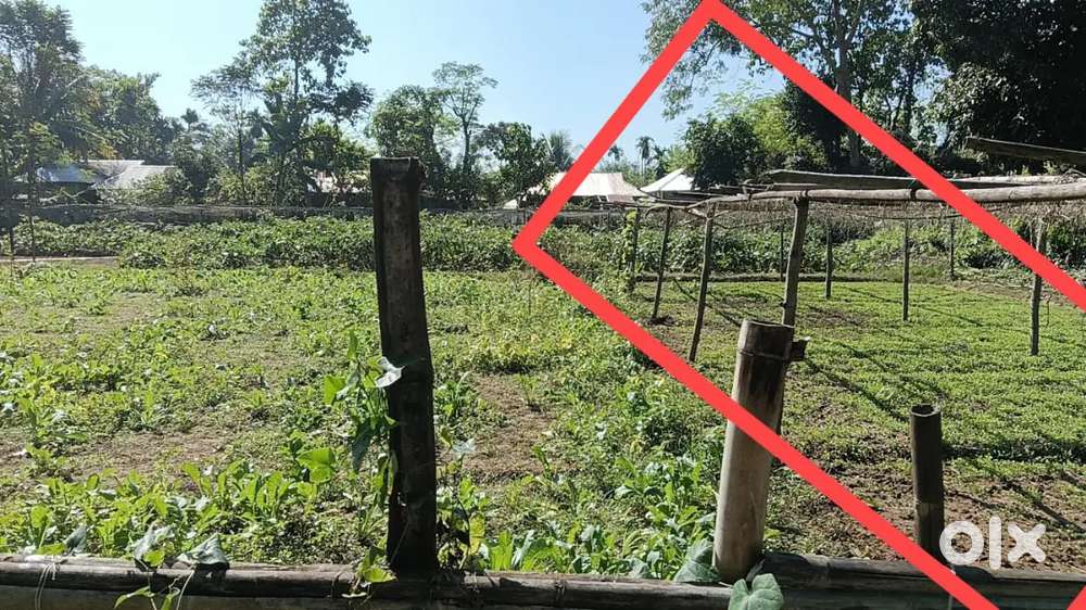 10 Ghanda , 20,00,000